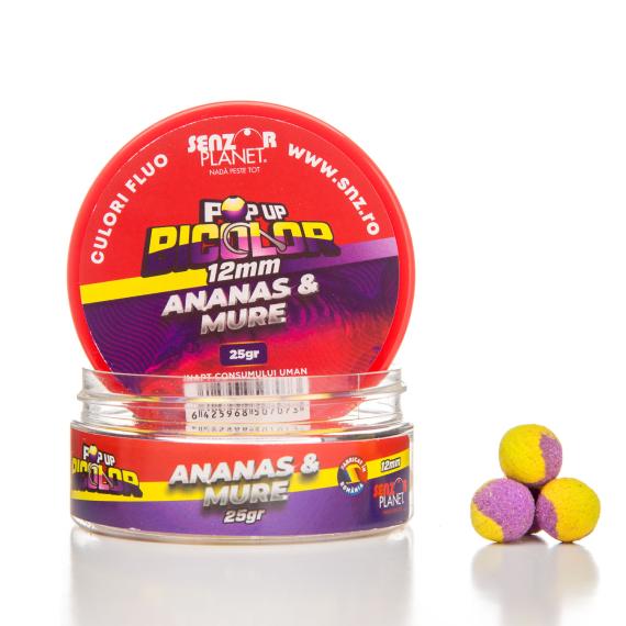 Pop-up ananas & mure 12mm 25g