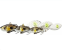 Spinner 3d sticklebait tailspin 8cm/18g brown trout smolt