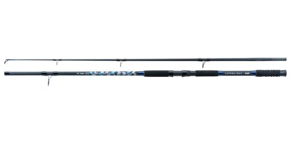 Lanseta Jaxon Tenesa Catfish Max 2.70m, 450g WJ-TNZ270450