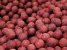 Boilies meat & fish + squid & octopus & cranberry, Select baits