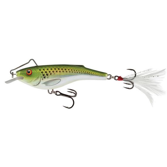 Vobler salmo rb6s  salmo qrb002