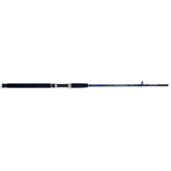 2BUC CASPIAN PRO ROD 2,10M/100-250G