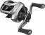 Multiplicator Daiwa Zillion SV TW XHL D.10016.105