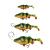 Naluca Savage Gear Perch Shad, SS02, 12.5cm, 23g F1.SG.61795