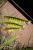 Fox rage pro shad jointed nps034