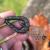 Bait gripper lead 90g