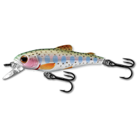 Trout jerkbait 5cmcm/3g 900 rainbow trout