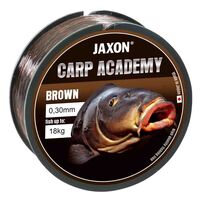 Fir carp academy brown 600m 0.30mm 18kg zj-cab030d